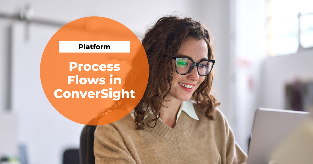 Process Flows in ConverSight