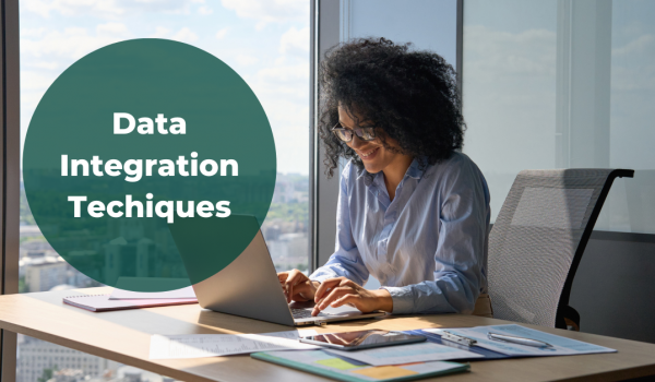 Data integration techniques