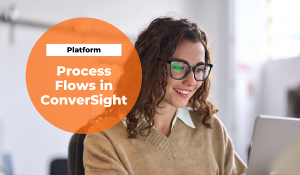 Process Flows in ConverSight